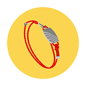 Wearable Icon