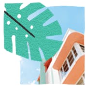 Miami Icon