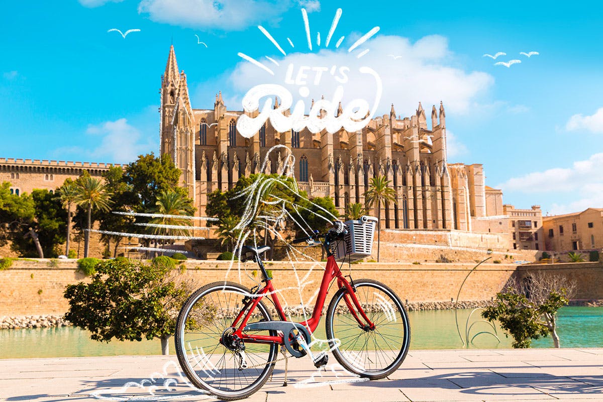 From the City to the Beach by Bike
